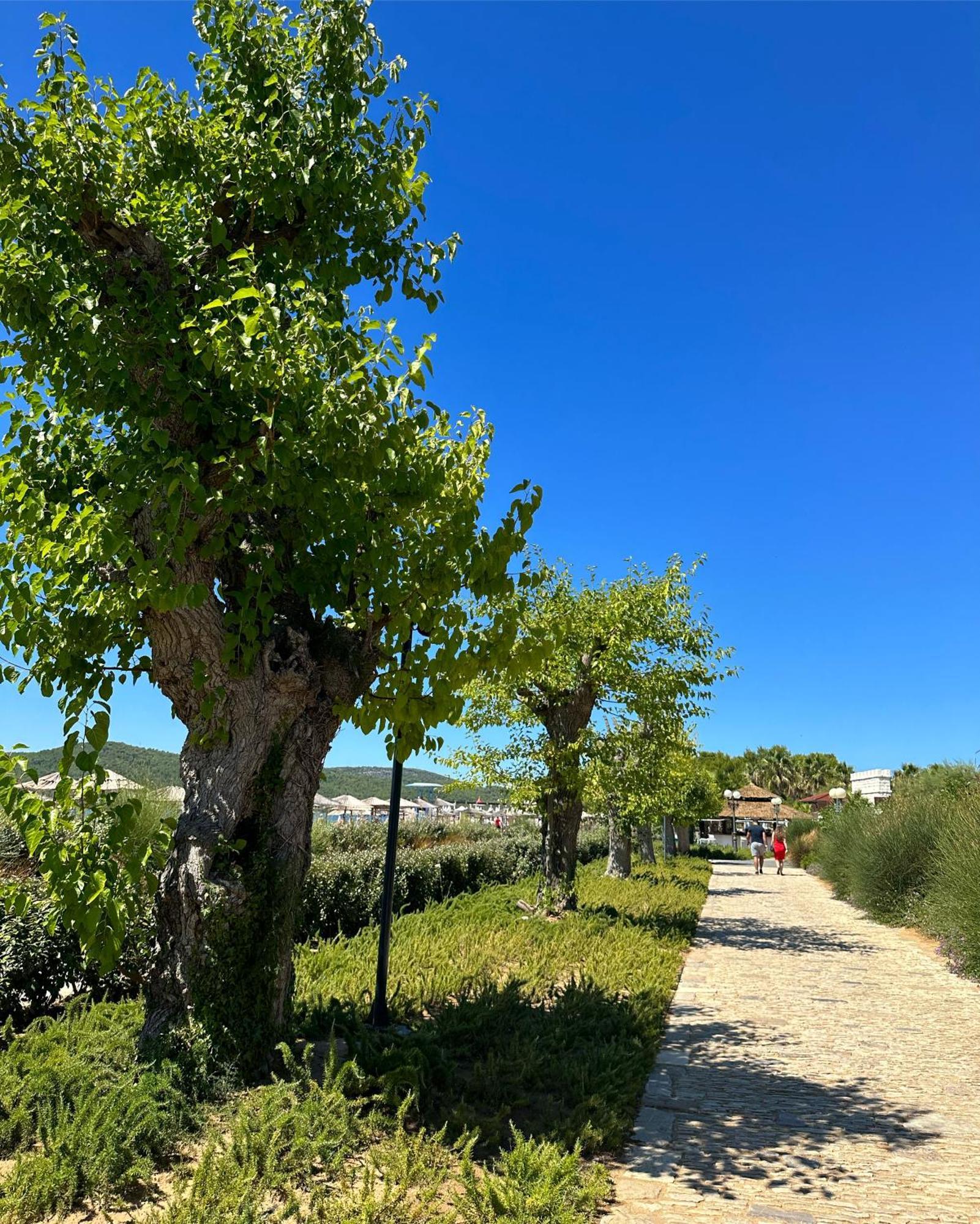 Villa Doris, Amadria Park Šibenik Exteriér fotografie